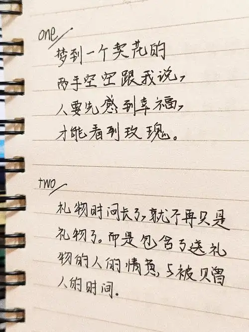 手写摘抄李诞戳心窝语录