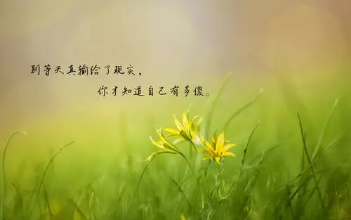 看透人心的悲凉句子带字配图