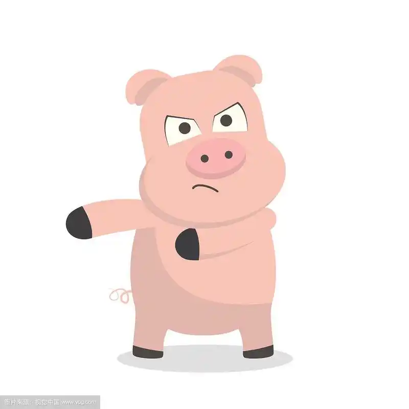 可爱的猪与愤怒的表情设计