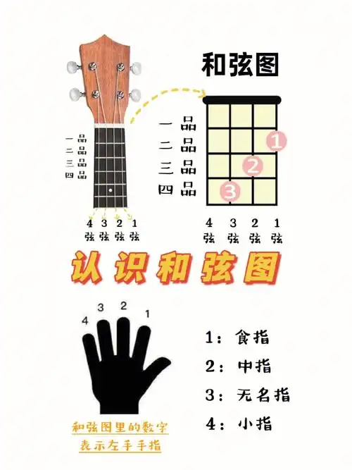 尤克里里零新手入门第一课基础识谱认识和弦