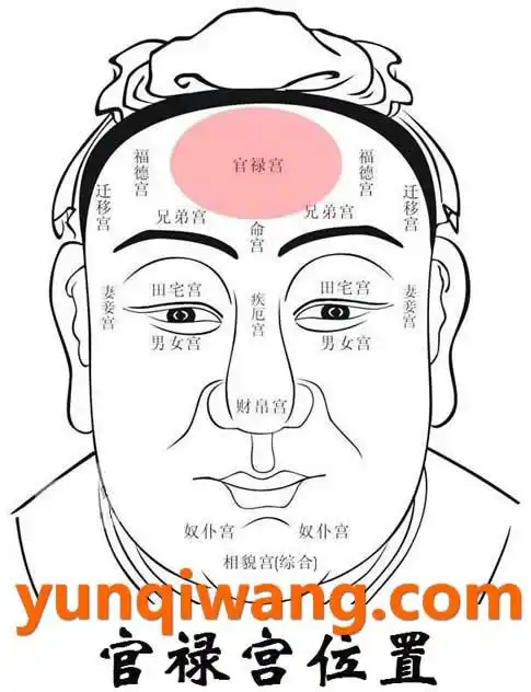 事业宫是官禄宫吗