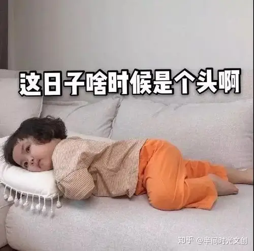 在家里无聊怎么办?看这里!