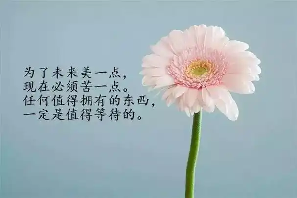 很走心的一句话人生感悟经典语句朋友圈感悟人生的经典短语