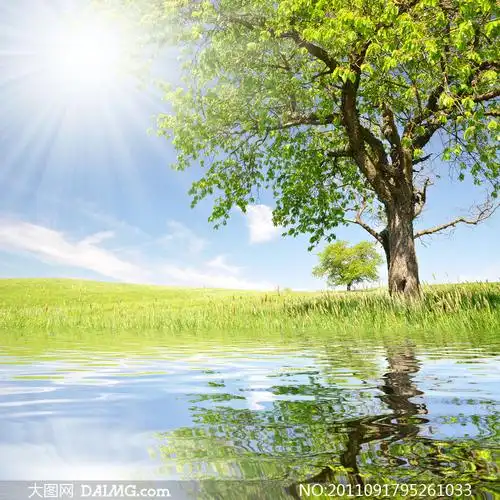 蓝天白云阳光与河边的大树高清摄影图片