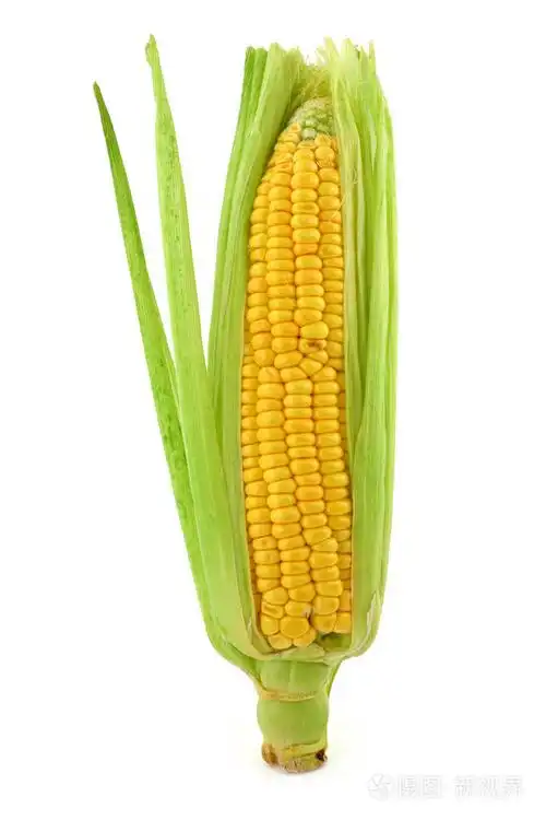 玉米棒子