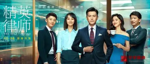 电视剧精英律师1080p全42集完结国语中字