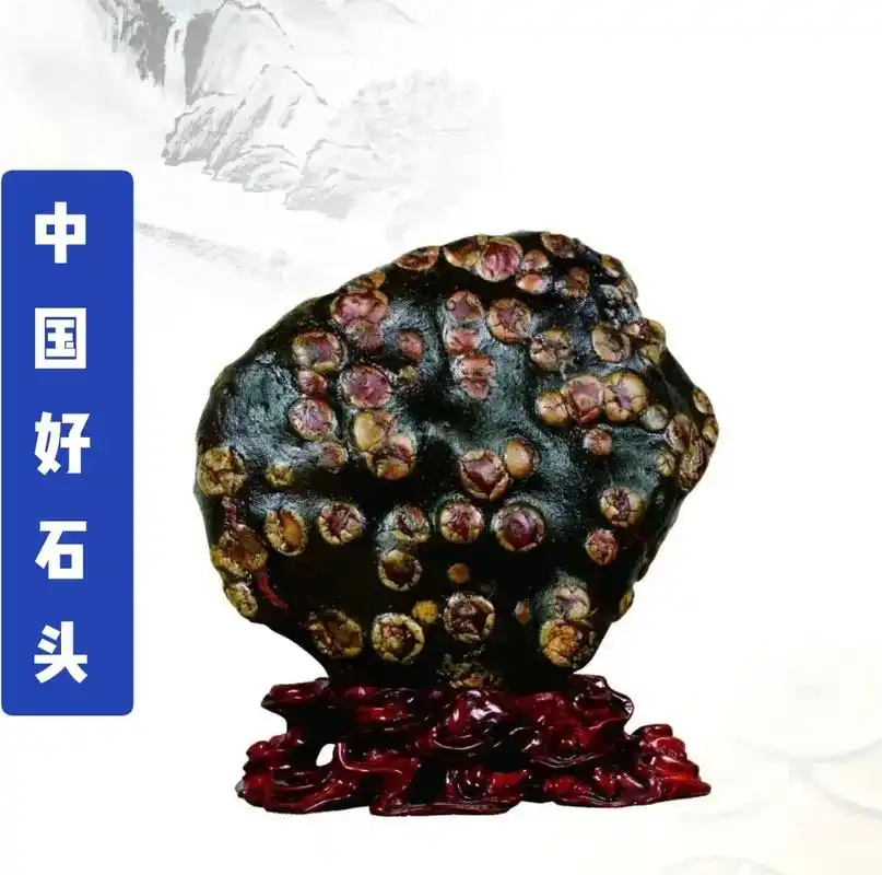 石头谱 #观赏石 #中国好石头#奇石#朱岸文#艺术品#收藏 - 抖音