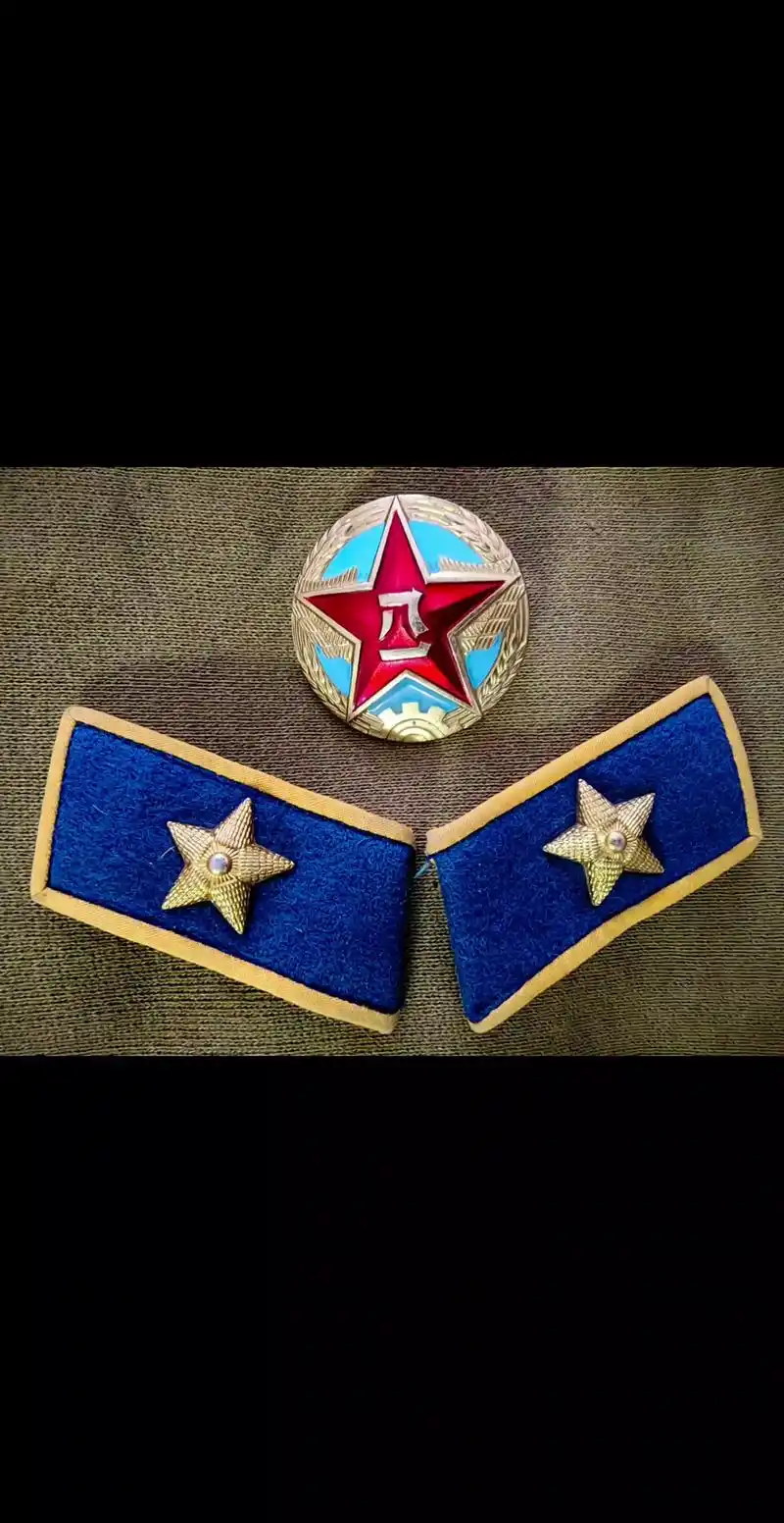 八五式空军干部领章#领章#帽徽#空军