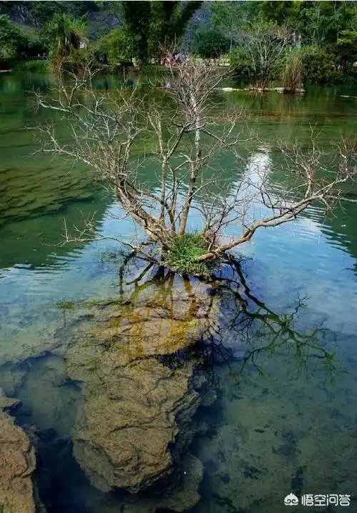 广西省哪些地方水质好? - 石塘网