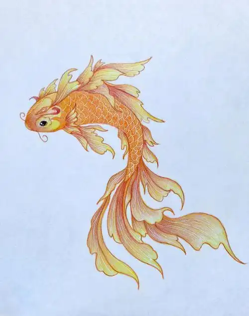 画画 #画画的日常  #自学画画  #画画打卡  #彩铅  #彩铅手绘  #锦鲤