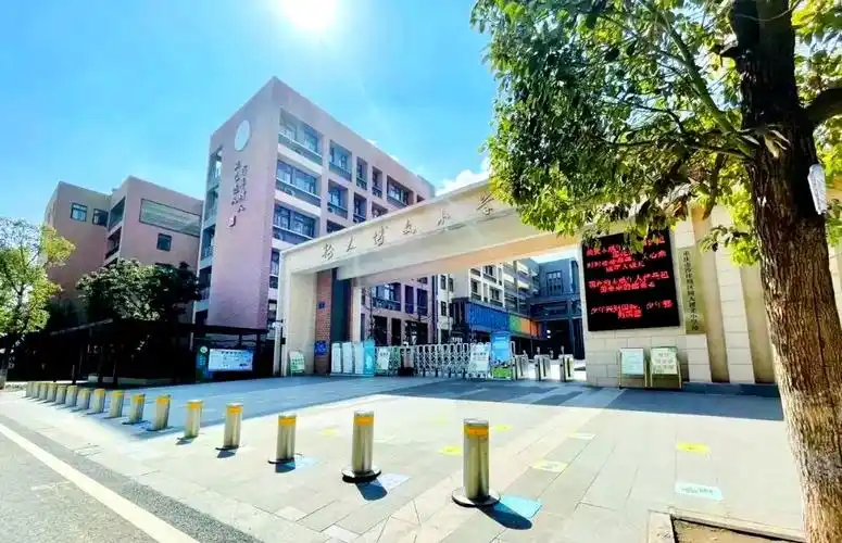 树人小学教育集团力推重庆名校教育革新