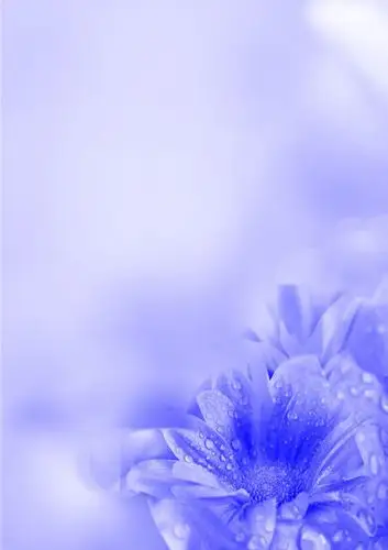 有那些图片适合做简历的封面,不要太花,素雅一点