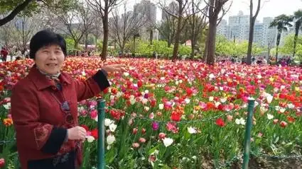 大宁公园看郁金香