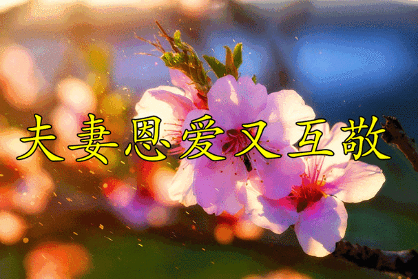 什么是好夫妻.恩爱,尊重,理解,互忍.