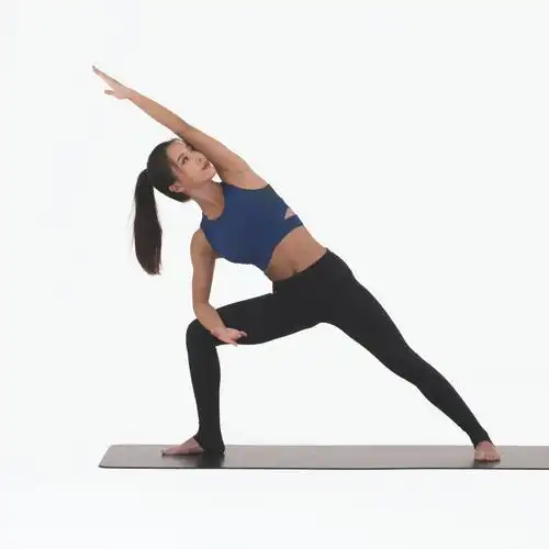 右侧简易侧角式