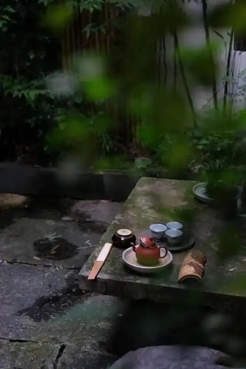 品一壶禅茶悟人生百味