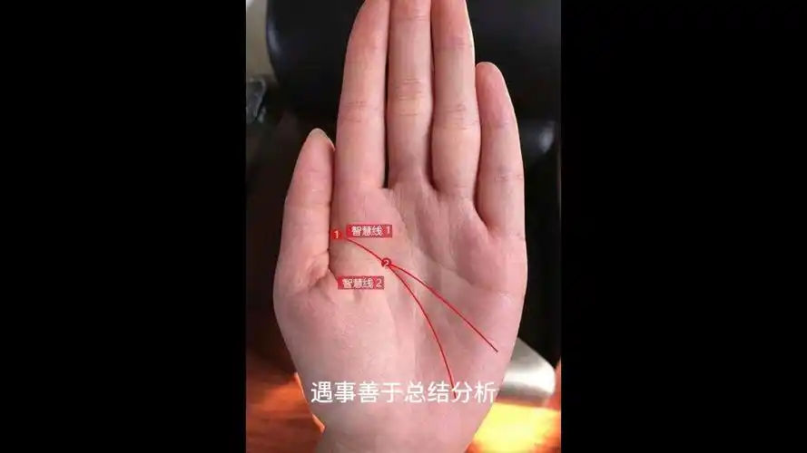 (手相解读)教你最快认识自己的手相