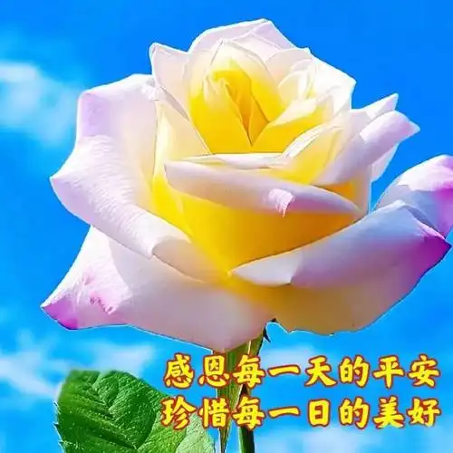 早安祝福图片带字带早上好问候语,新的一天吉祥如意!周二愉快!