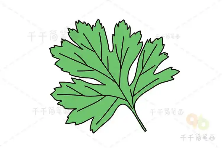 艾叶简笔画