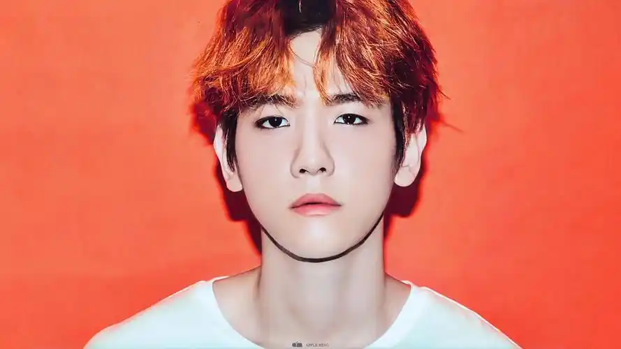 边伯贤桌面 cr. twitter: aming_exo