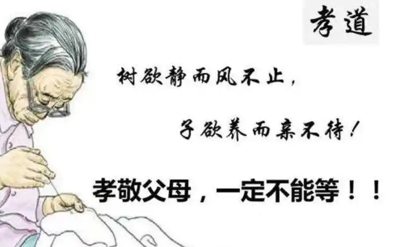 人一生,只欠父母