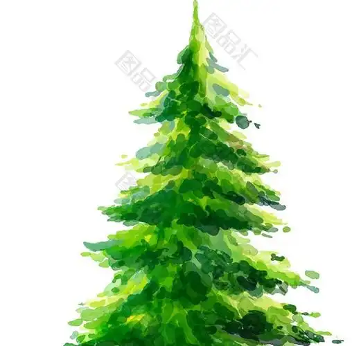 水彩手绘松树
