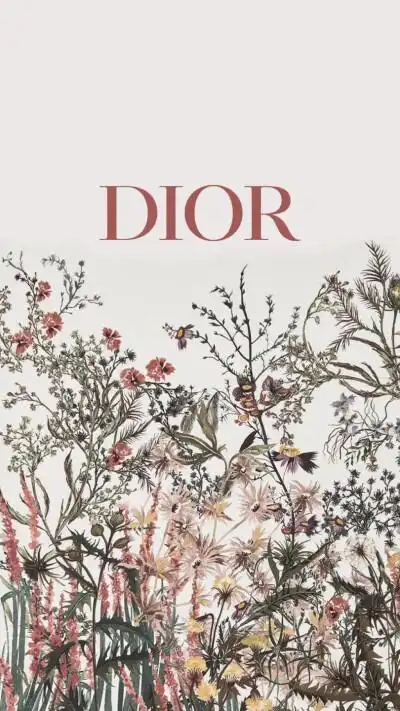 dior壁纸