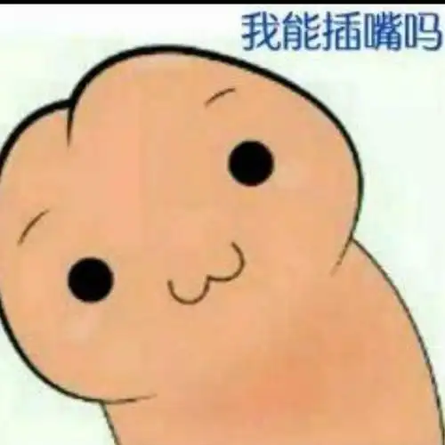 我可以插嘴吗什么梗