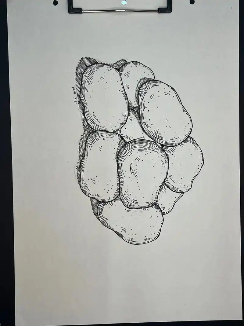 画画 #每日一画 #跟着抖音学画画 #黑白线描画 #土豆写 - 抖音