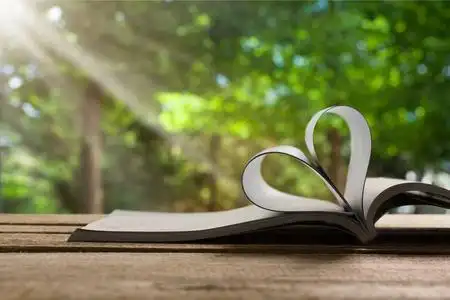 在背景中隔离的心形书页照片