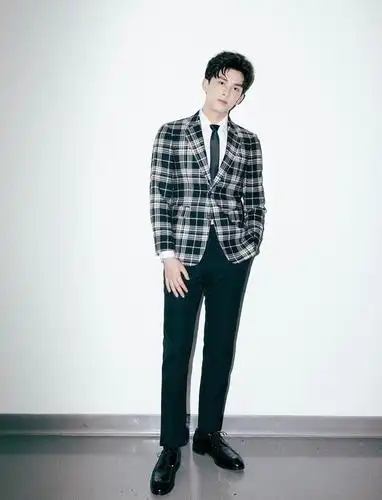 吴磊格纹西装现身盛典红毯 期待新年新动态