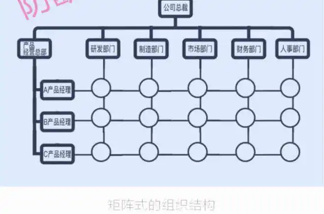 管理学矩阵式组织结构