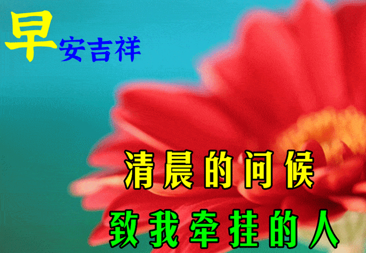中老年表情包清晨的问候致我最牵挂的人
