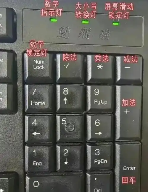 这份宝典详尽地介绍了电脑键盘上每个按键的功能,还附有英文解释,甚至