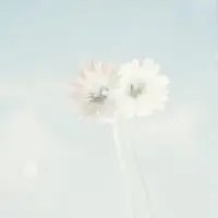 微信个性头像简约素雅_微信头像图片大全