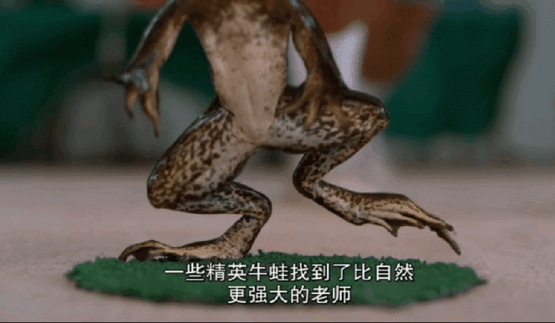 825_480gif 动态图 动图