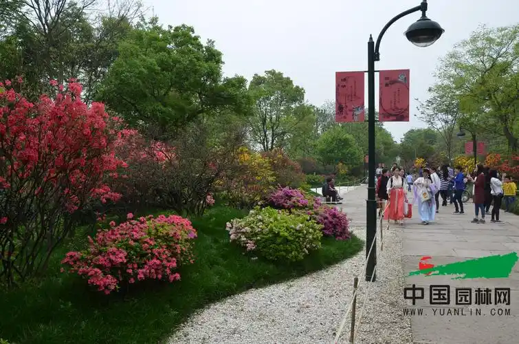 【庆g20】美丽杭州 绿色生态让城市走向世界 - 植保 - 园林网