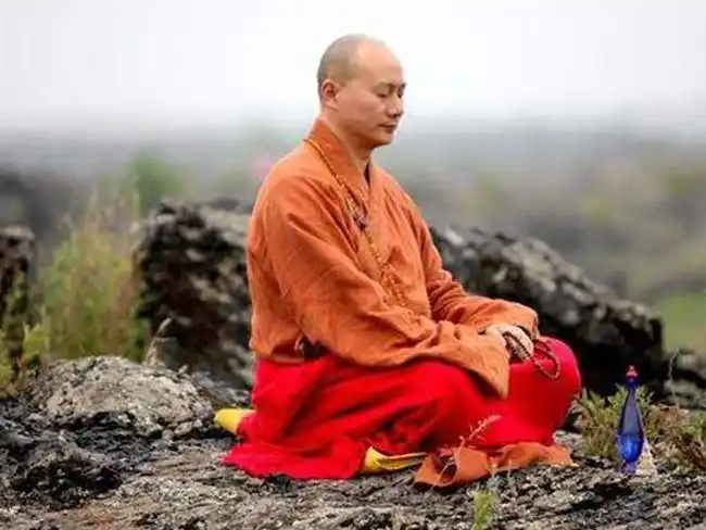 和尚打坐,身后传来婴儿哭声,转身发现却是一只梅花鹿 - 盘书网