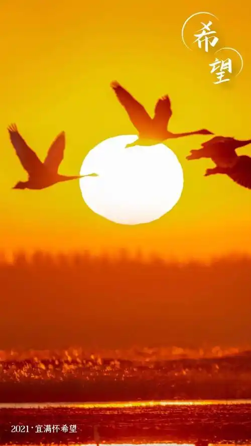 2021年,愿你的生活充满希望78与各位读者共同揭过2020年的最后一页!