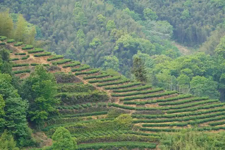 福安三村山青水秀