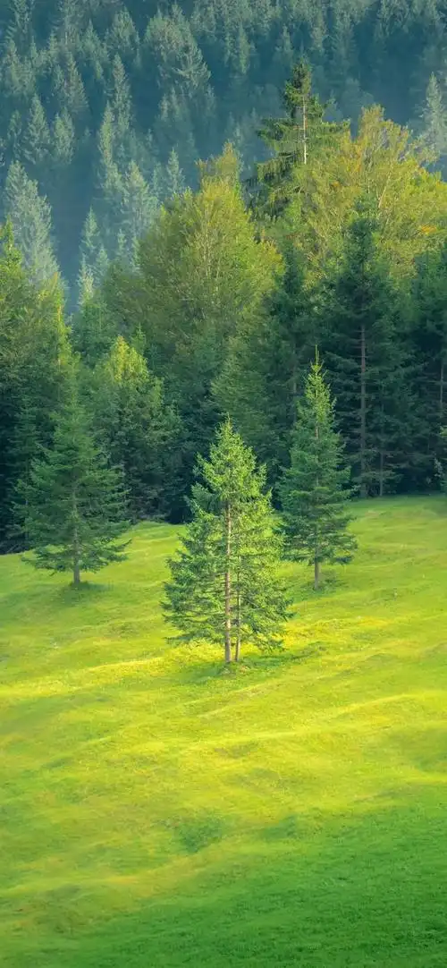 高清风景壁纸|绝美风景,风光无限,美丽壮观,令人陶醉