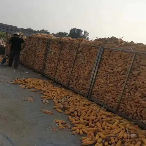 新型圈玉米网玉米笼