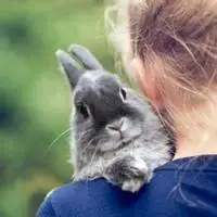 女生抱兔子头像不要卡通也不要带字