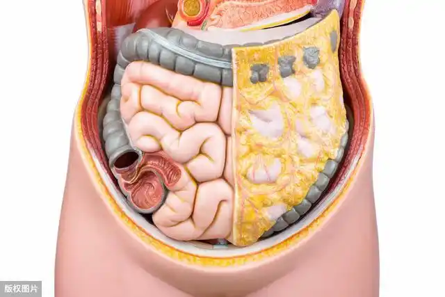4个方法抹平"小肚腩",降低内脏脂肪,恢复平坦小腹