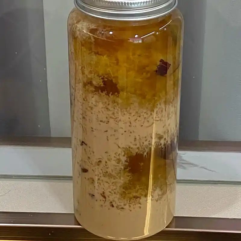 桃胶雪燕奶茶.秋冬养生小妙招 桃胶雪燕炖奶 /桃胶雪燕奶茶  - 抖音