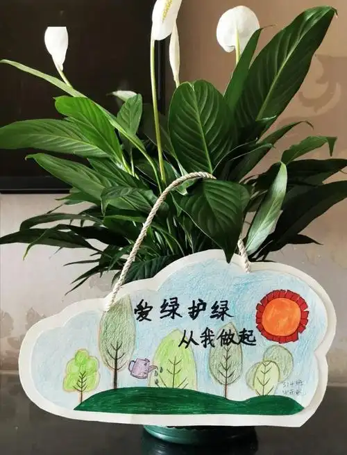 爱绿护绿我们在行动育才实验小学优秀爱绿护绿宣传卡片欣赏