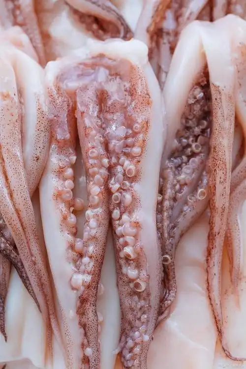 鱿鱼人工养殖和野生的区别,鱿鱼养殖未来的发展趋势如何?