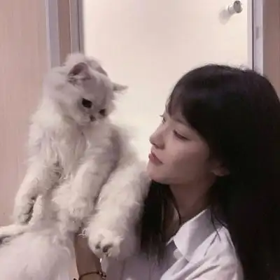 高清抱猫女生头像高清女生手上抱着猫很酷的头像图片