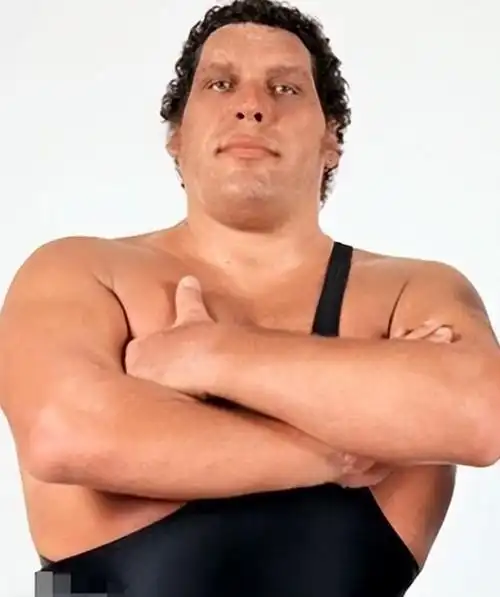 回顾480斤巨人安德雷身高2米4体重480斤死后骨灰重15斤