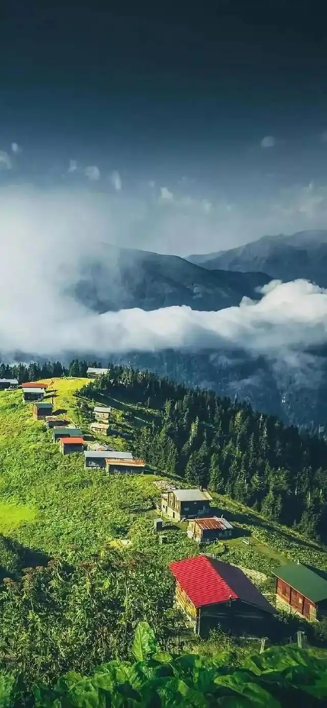 乡村田园风光全面屏手机壁纸